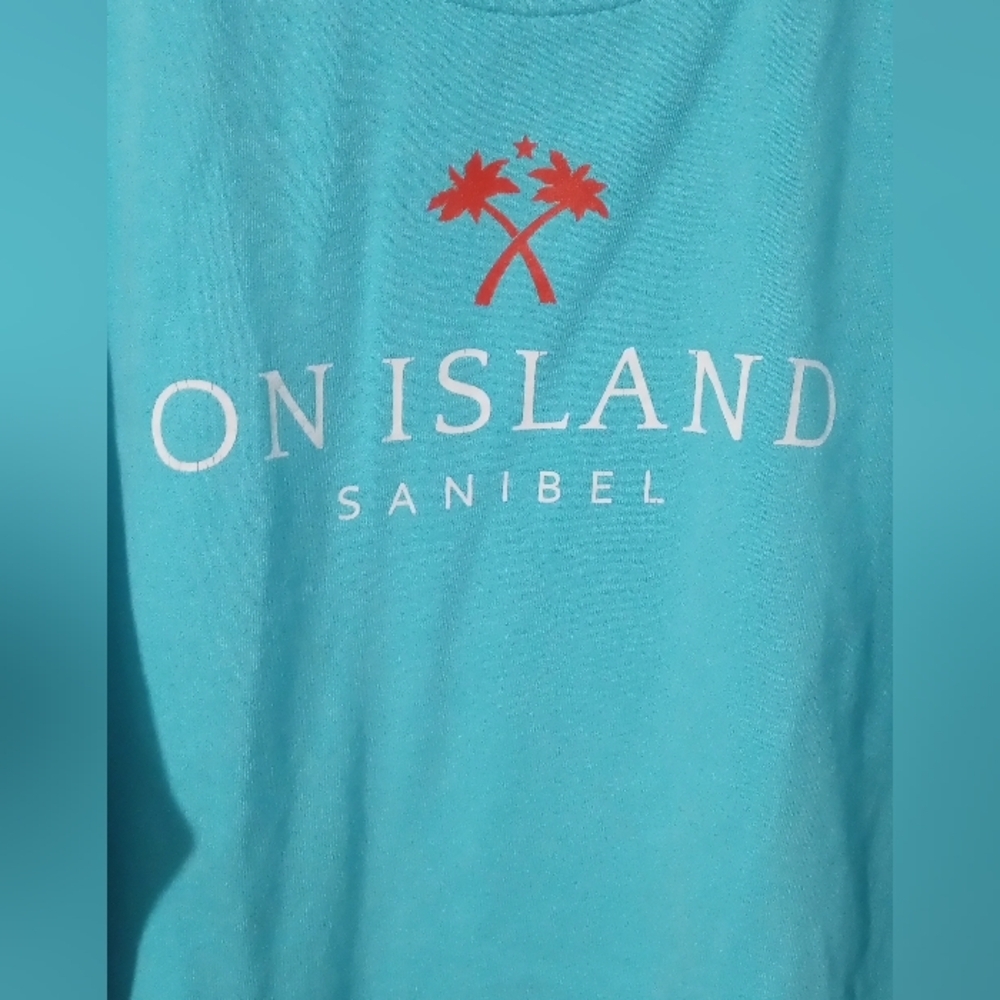 Comfort Colors Turquoise Crewneck Sweater - Picture 4 of 5
